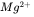 amyloid